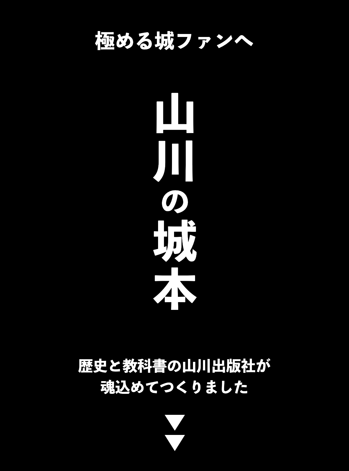 山川の城本