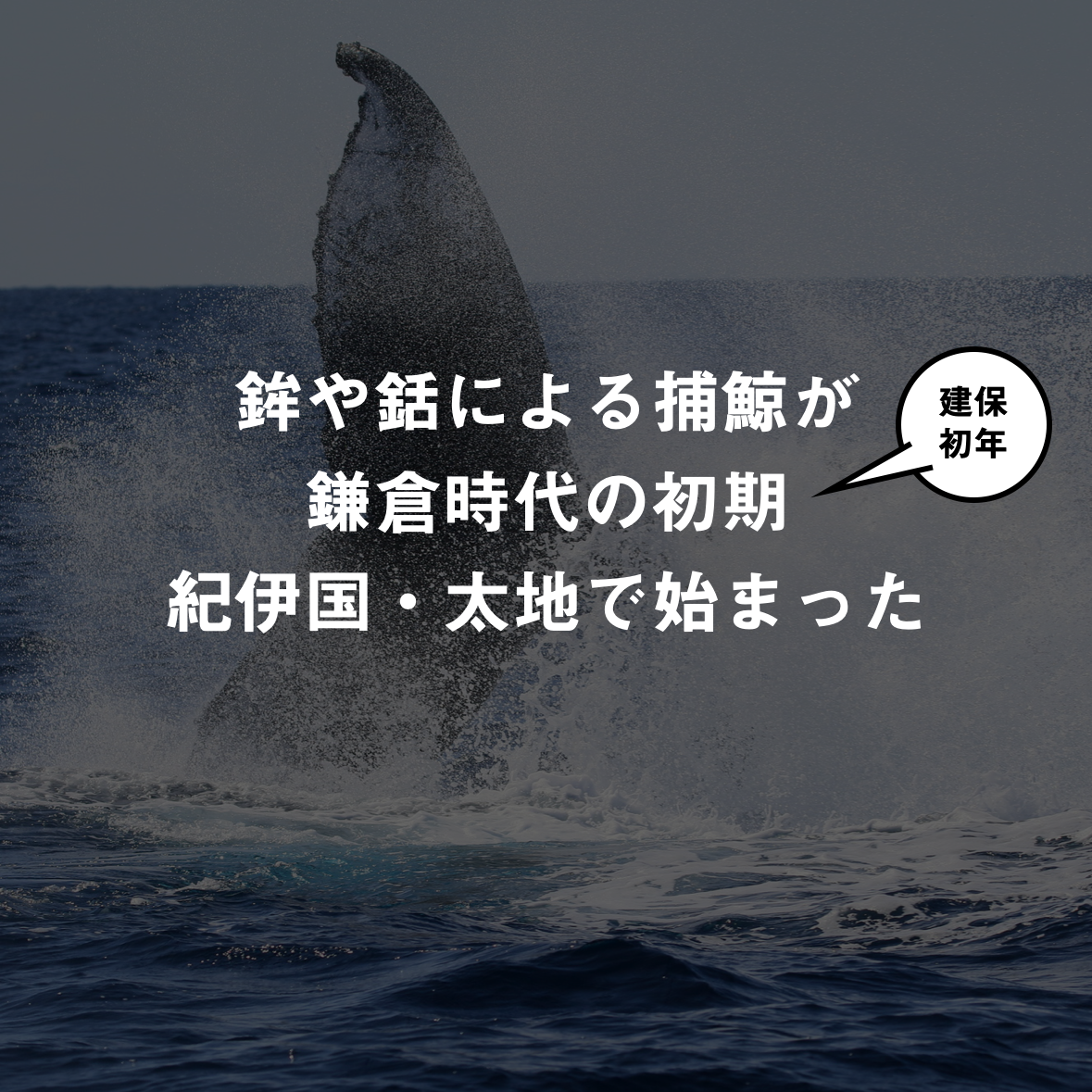 4コマで「鯨&捕鯨」