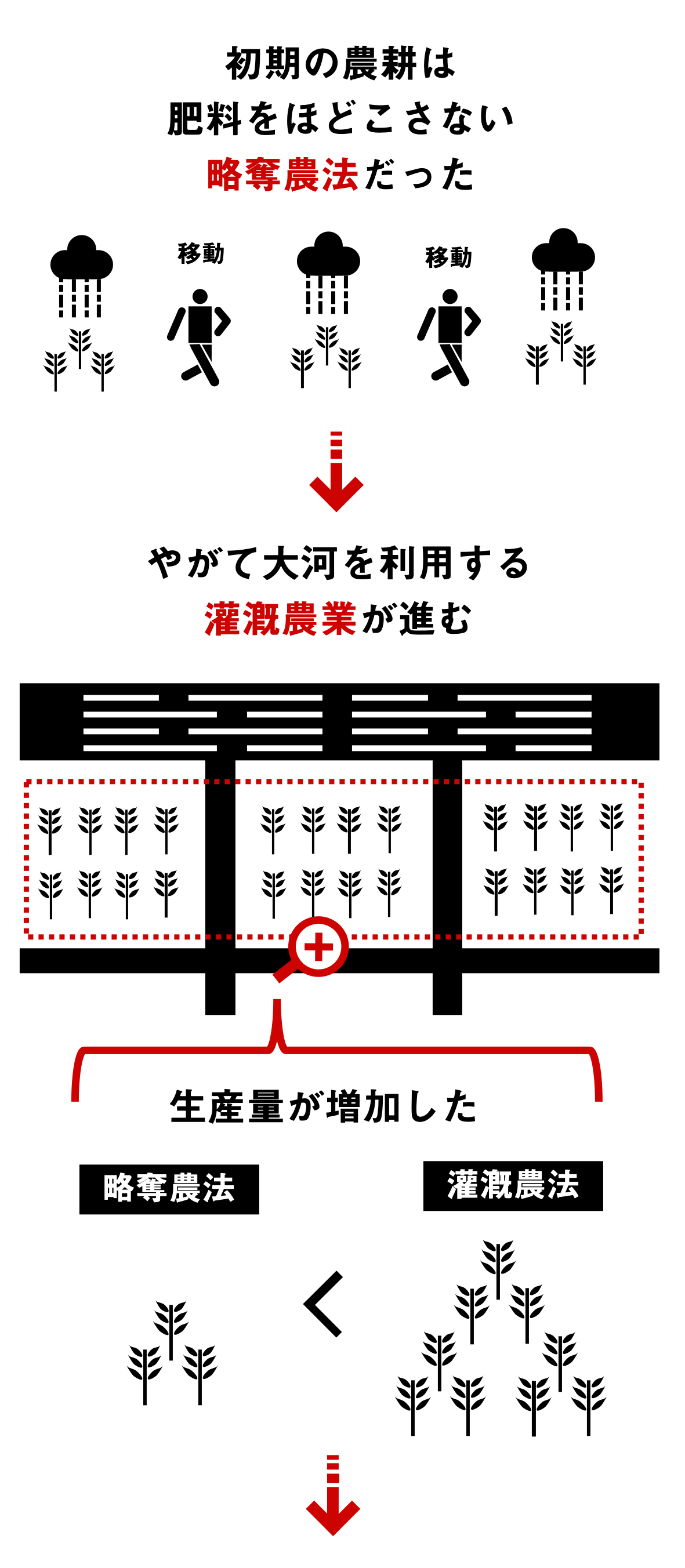 社会の発達