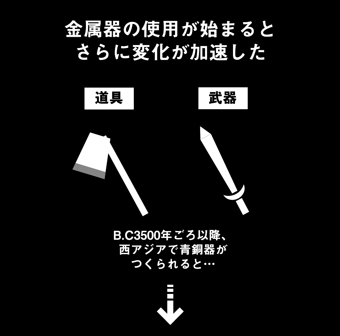 社会の発達